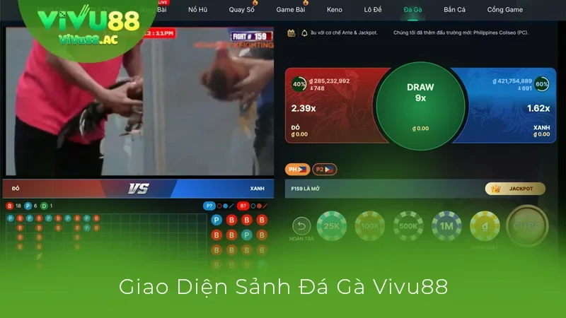 Đá Gà Vivu88 Có Gì Hot? Hé Lộ Chiến Thuật Đặt Cược Hiệu Quả